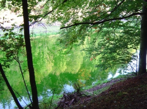 Reflet dans un étang...