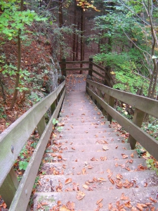 Escalier en bois, pour descendre dans la Combe du Pilouvi