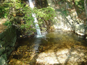 Le Ruisseau de Vaux, dans la Combe du Pilouvi