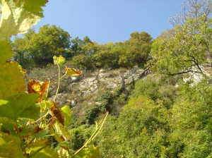 Vue depuis le haut du village de La Neuveville, en direction du nord