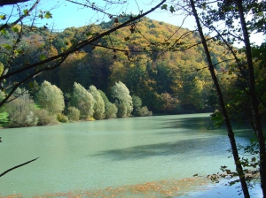 Le lac artificiel de l'Arboretum