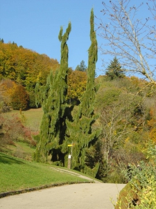 L'entrée principale de l'Arboretum du Vallon de l'Aubonne