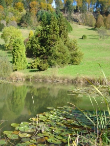 L'étang de La Vaux