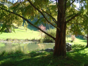 L'étang de La Vaux