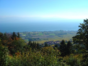 Le point de vue sur le Lac Léman