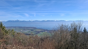 La vue, depuis le Signal de Bougy