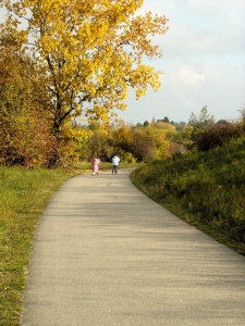 Le chemin goudronné reliant Hauterive à St-Blaise