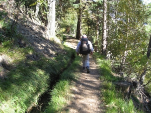 Sentier et bisse