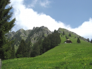 Cabane de Jaman et Cape au Moine