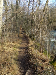 Sentier dans la forêt, sur la rive gauche de l'Areuse, en direction du lac
