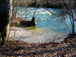 Une petite crique le long de la rive gauche de l'Areuse