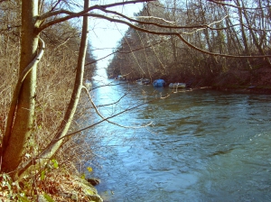 L'embouchure de l'Areuse