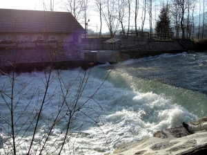 Le Saut de la Truite et la Pêcherie cantonale