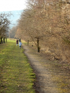 Sentier remontant l'Areuse sur la rive droite