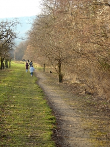 Sentier remontant l'Areuse sur la rive droite