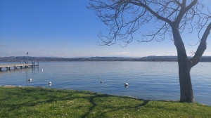 Le bord du lac, à Vallamand-Dessous (débarcadères et parking)