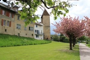 La vielle ville d'Avenches, vue de l'extérieur