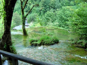 La rivière, en amont du la Cascade