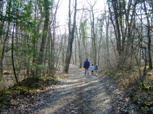 Dans la forêt (février 2008)