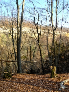 Vue sur les falaises surplombant le Nozon