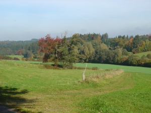 Les environs du Chalet-à-Gobet