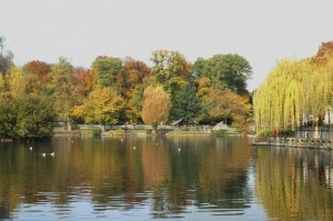 vue sur le lac en automne 2011