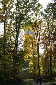 en famille dans la forêt de Sauvabelin