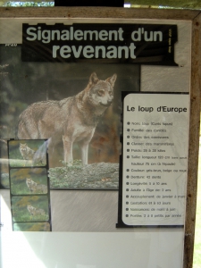 Quelques infos sur le loup