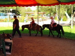 Un tour en poney pour les enfants