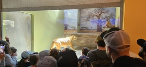 Zoo de Servion