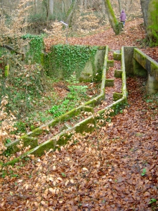 L'ancienne échelle à poissons