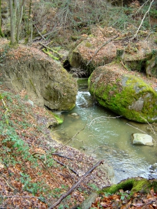 La Mèbre se faufile entre deux blocs de molasse