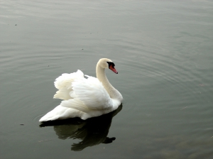 Une charmante rencontre