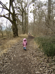 Le sentier dans la forêt