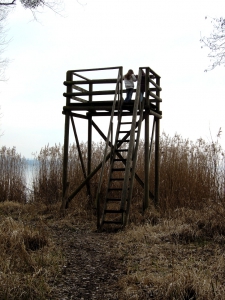 Un observatoire à oiseaux