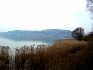 Vue sur le Mont Vully