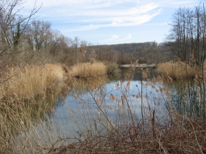 Etang Ouest