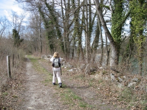 Chemin le long du Rhône