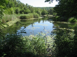 Etang des Isles