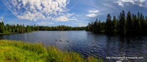 Etang-de-la-Gruère-1000m-dans-les-franches-montagne. Août 2019