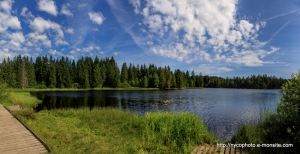 Etang-de-la-Gruère-1000m-dans-les-franches-montagne. Août 2019