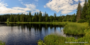 Etang-de-la-Gruère-1000m-dans-les-franches-montagne. Août 2019