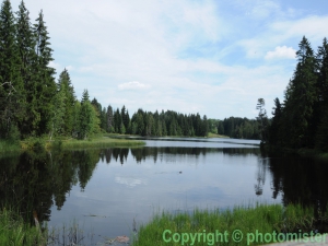 Etang de la Gruère 2011