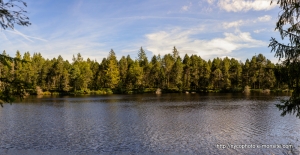 Etang-de-la-Gruère-1000m-dans-les-franches-montagne. Août 2019