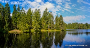 Etang-de-la-Gruère-1000m-dans-les-franches-montagne. Août 2019