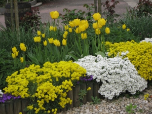 Les jardins fleuris