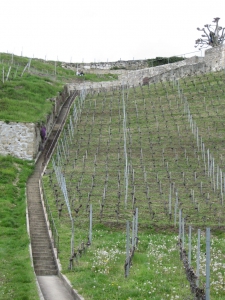 Le grand escalier