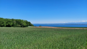 Le lac de Neuchâtel et les Alpes