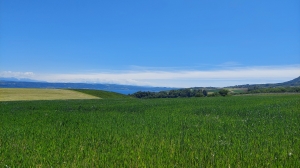 Magnifique vue sur les champs et le lac de Neuchâtel