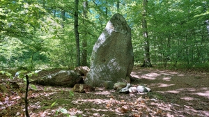 Le menhir sous-bois